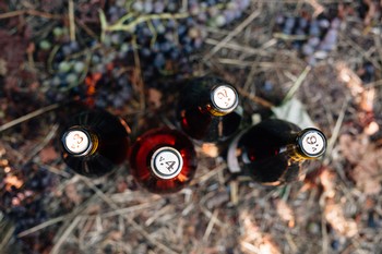 Holiday 4-bottle Vertical