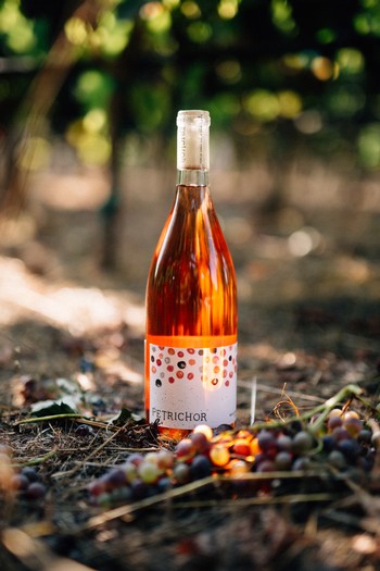 2017 Rosé Image