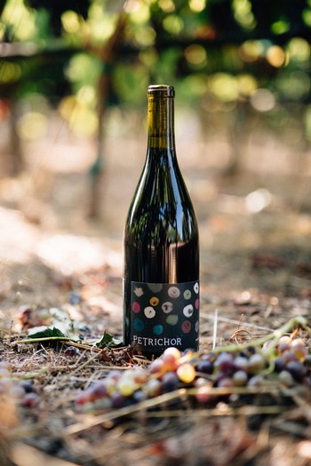 2016 Syrah